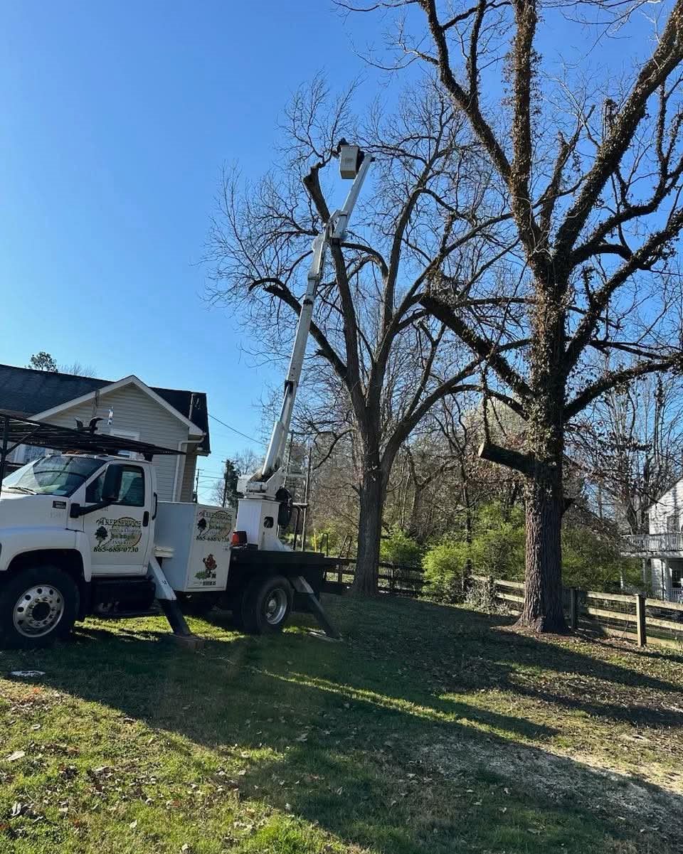Bucket truck set up beside a home to reach a bare hardwood