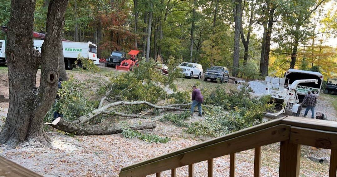 Crew clearing a downed tree and hauling brush from a wooded property