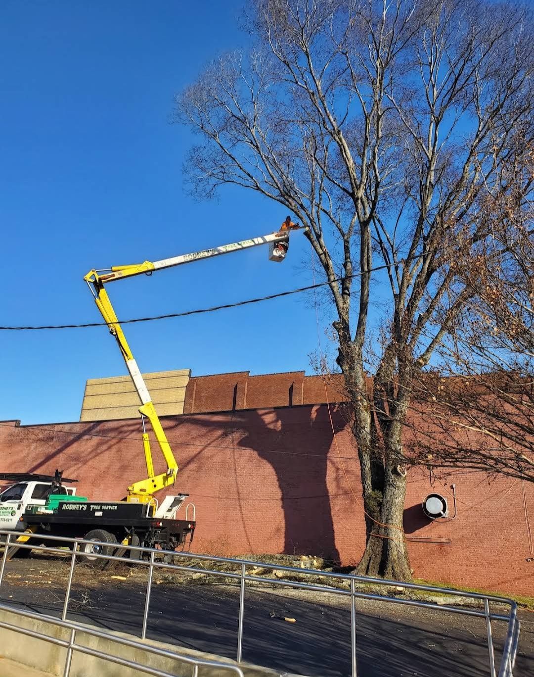 Articulating lift trimming a tree against a brick commercial wall