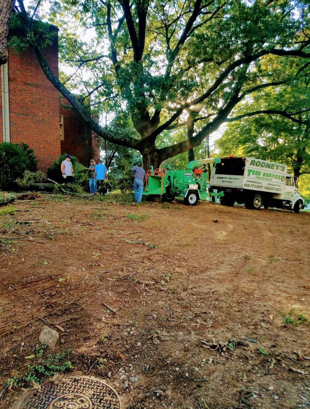 Ground cleared and levelled after a removal, with the chipper still on site