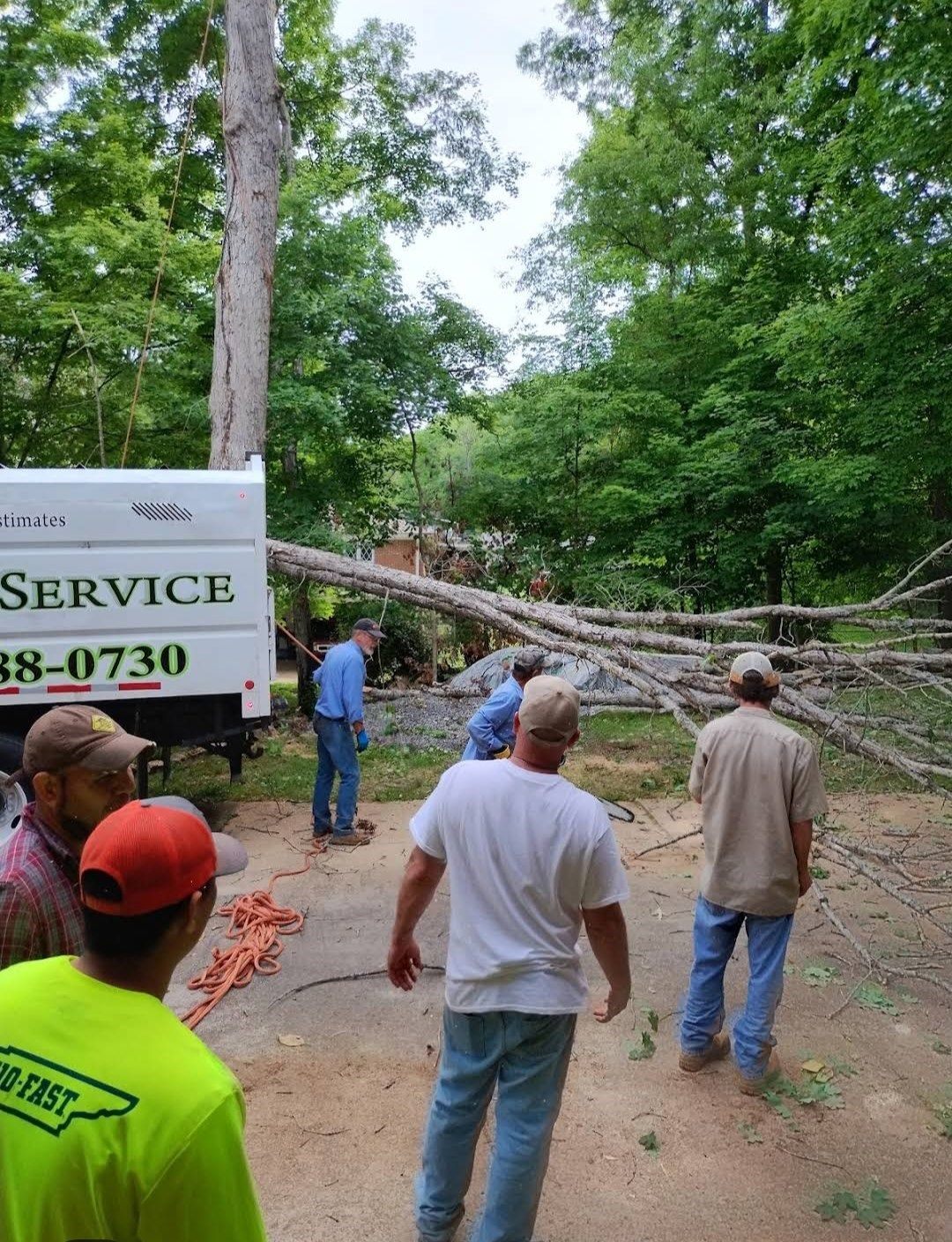 Crew roping down a large trunk beside the chip truck