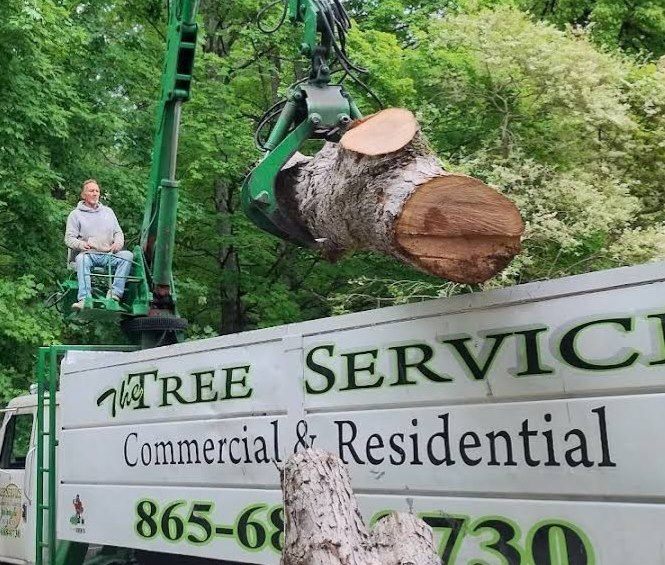 Grapple holding a large log above a Rodney Tree Service truck